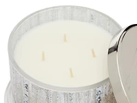 White Birch 18-oz. 4-Wick Candle