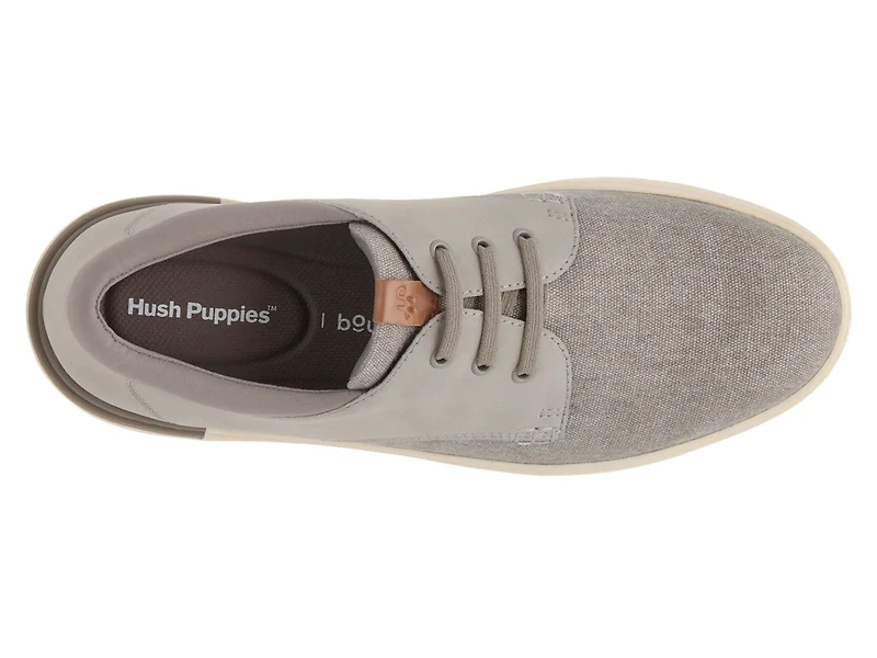 Bear Oxford