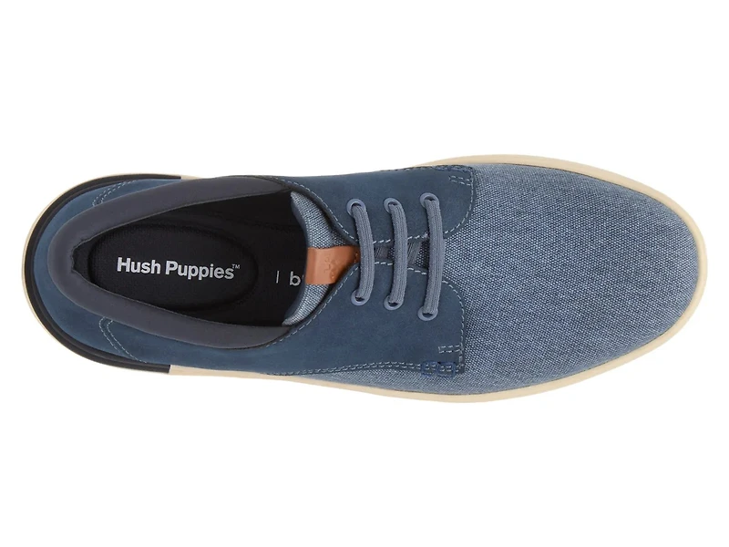 Bear Oxford