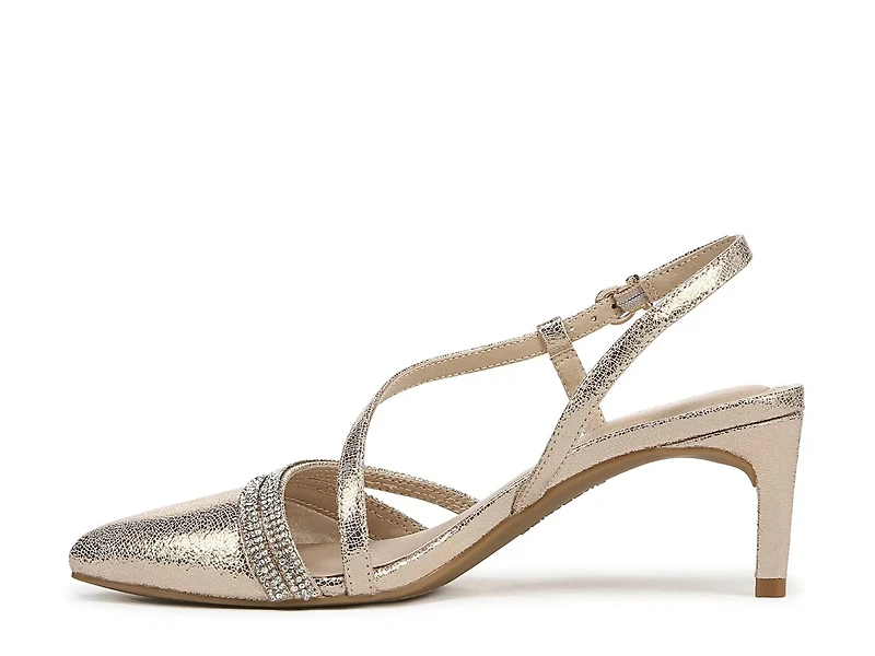 Arlo Pump