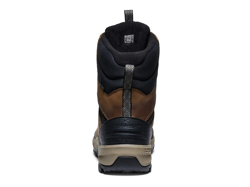 Revel IV High Polar Waterproof Snow Boot - Men's