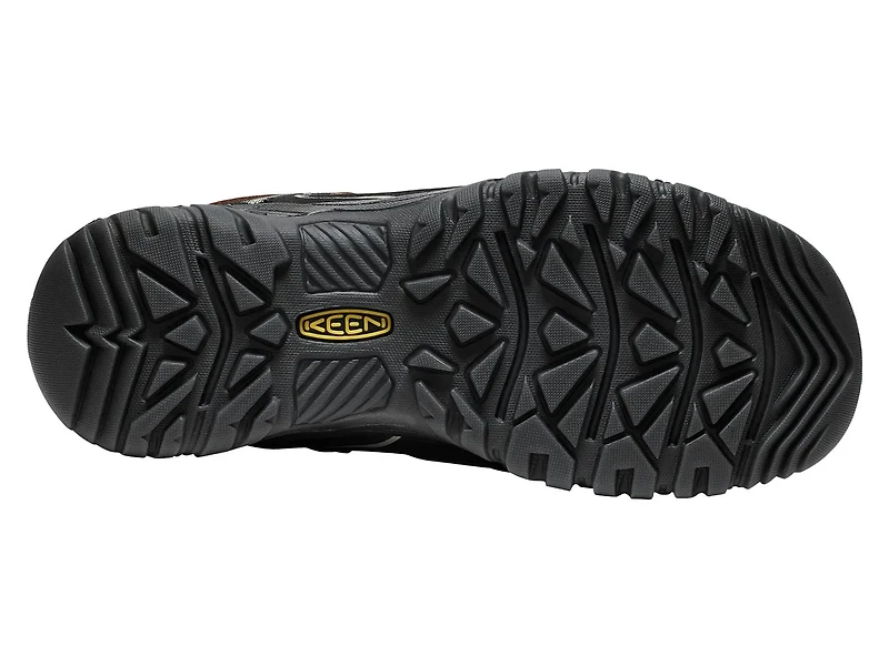 Targhee IV Waterproof Hiking Shoe - Men's