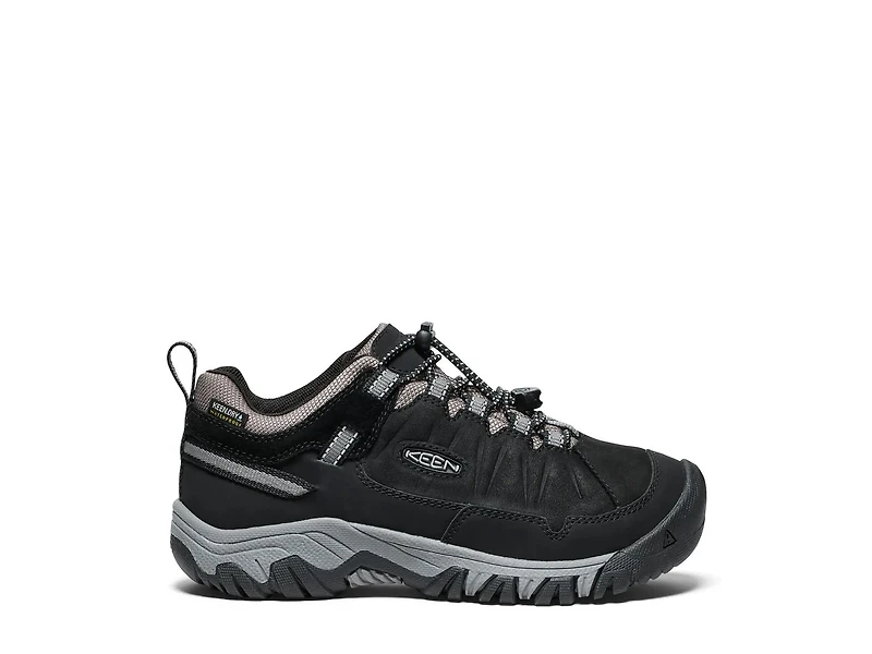 Waterproof Targhee IV Hiking Shoe