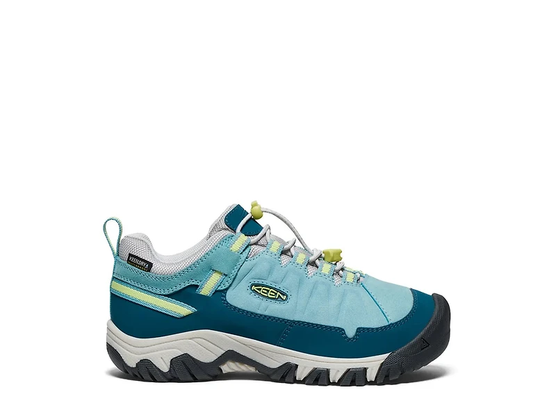 Targhee IV Hiking Shoe