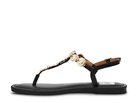 Jaime Sandal