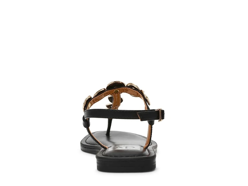 Jaime Sandal