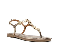 Jaime Sandal