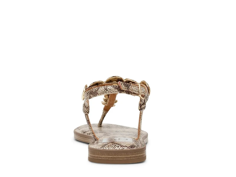 Jaime Sandal