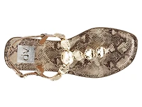 Jaime Sandal