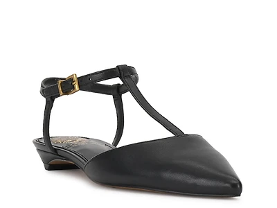 Varena Flat