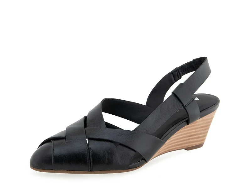 Carmel Wedge Pump