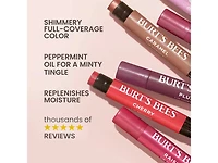 Nude Collection Lip Shimmer Set - 3 Pack