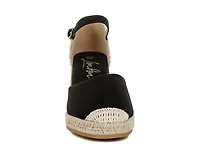 Paryor Wedge Pump