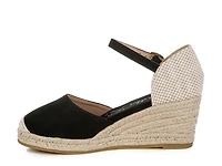 Paryor Wedge Pump