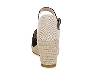 Paryor Wedge Pump