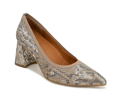 Dionne Pump