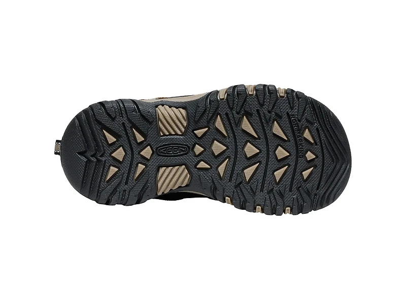 Targhee IV Waterproof Hiking Boot