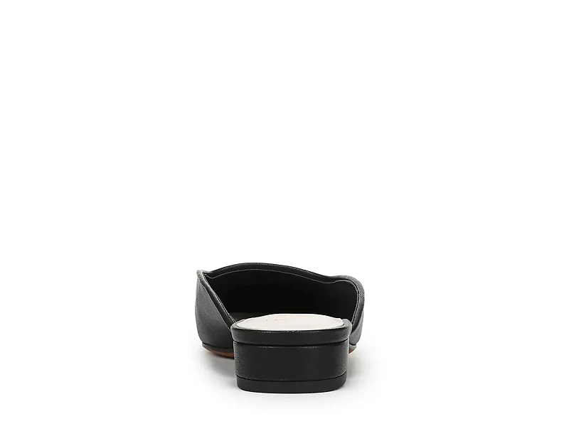 Dayla Mule