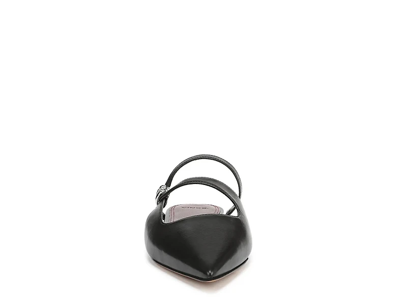 Gilia Flat