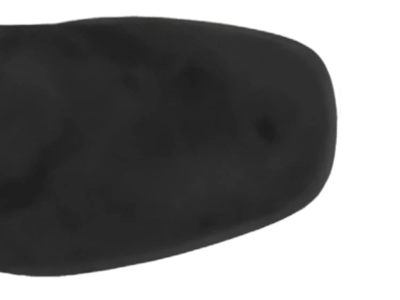 Daria Boot