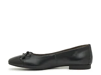 Violet Ballet Flat