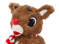 Rudolph Warming Stuffed Animal