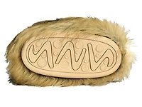 Fayes Boot