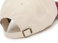 Phillies Clean Up Baseball Cap