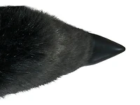 Langleye Foldover Over-the-Knee Boot