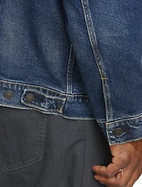 Colusa Stretch Denim Trucker Jacket