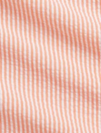 Seersucker Stripe Sport Shirt