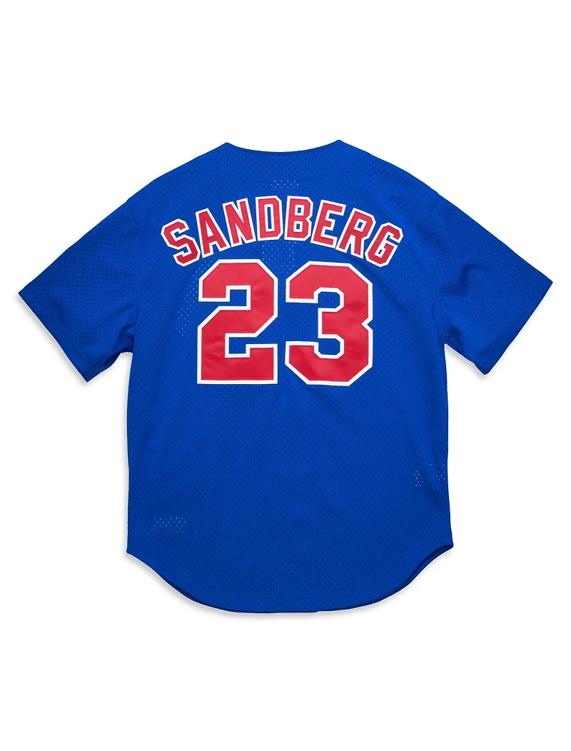 MLB Authentic BP Jersey