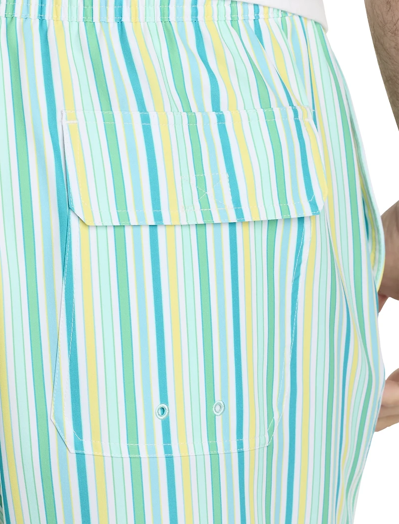 Multi Stripe Chappy Swim Trunks