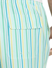 Multi Stripe Chappy Swim Trunks