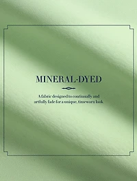 Mineral-Dyed Oxford Sport Shirt