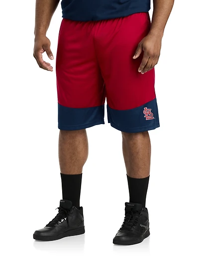 Colorblocked Performance Shorts