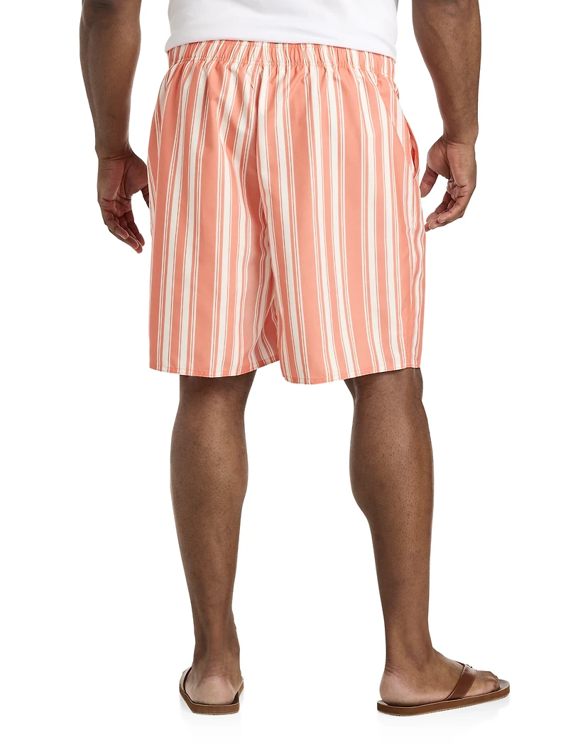 Cabana Stripe Swim Trunks