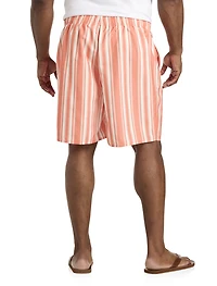 Cabana Stripe Swim Trunks