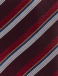 Striped Silk Tie