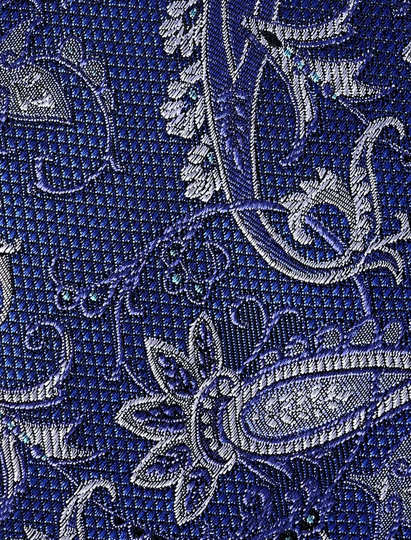 Paisley Tie