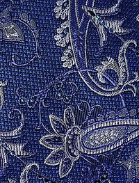 Paisley Tie