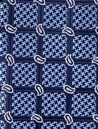 Simple Paisley Grid Tie