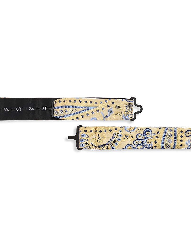 Springtime Paisley Bow Tie