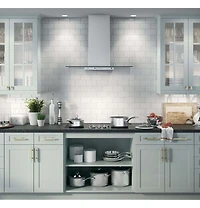 Stainless Steel Profile Series 36 inch Wall-Mount Glass Canopy Chimney Hood