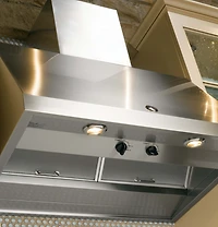 Stainless Steel Cafe Series 30 inch Designer Hood