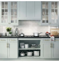 Silver Custom Hood Insert