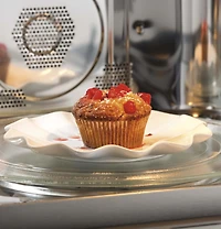 1.7 Cu. Ft. Stainless Steel Profile Series Built-In Microwave/Convection Oven