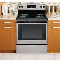 5.3 Cu. Ft. Silver Freestanding Electric Range