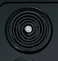 5.3 Cu. Ft. Silver Freestanding Electric Range