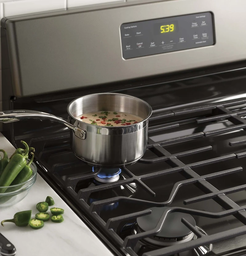 5.0 Cu. Ft. Stainless Steel Free-Standing Gas Range